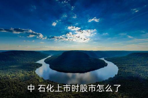 中 石化上市時(shí)股市怎么了