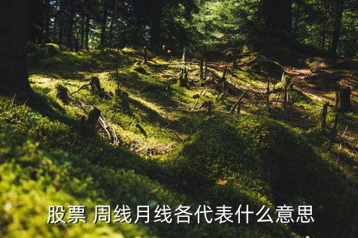 股票 周線(xiàn)月線(xiàn)各代表什么意思