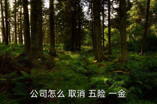 五險(xiǎn)一金怎么取消,個(gè)人建議取消農(nóng)業(yè)合作養(yǎng)老保險(xiǎn)是身份證號