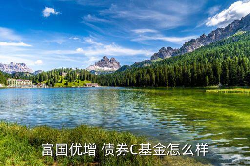 嘉實(shí)債券怎么樣,短債基金包括諾安債券、友邦短債、嘉實(shí)超短債