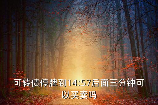 海印配債是怎么回事,《企業(yè)會計準(zhǔn)則》第12號債務(wù)重組
