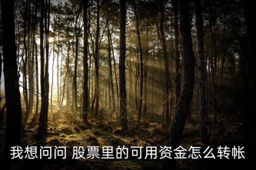 怎么轉(zhuǎn)股票里的錢(qián),如何把股票基金賬戶(hù)的錢(qián)轉(zhuǎn)到銀行賬戶(hù)?