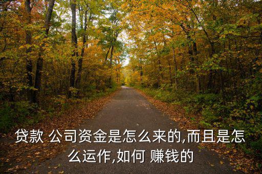 貸款 公司資金是怎么來(lái)的,而且是怎么運(yùn)作,如何 賺錢的