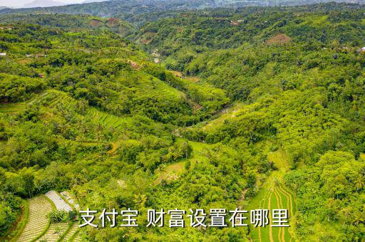  支付寶 財富設置在哪里
