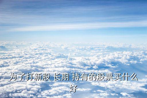 為了打新股 長(zhǎng)期 持有的股票買(mǎi)什么好