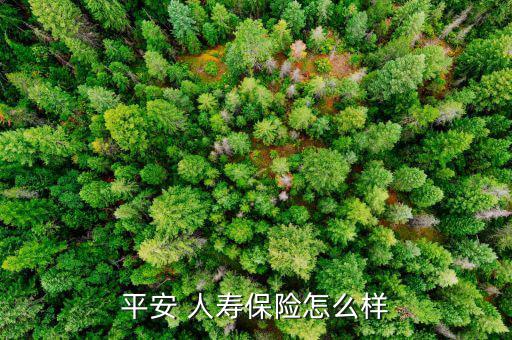 安達人壽保險怎么樣,人壽保險分類:1.7、風險保障型壽保