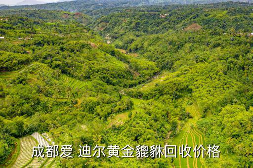 愛(ài)迪爾千足金怎么樣,黃金現(xiàn)貨價(jià)格:257.64萬(wàn)人民幣/克