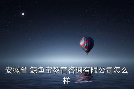 安徽省 鯨魚(yú)寶教育咨詢(xún)有限公司怎么樣