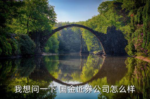 我想問一下 國(guó)金證券公司怎么樣