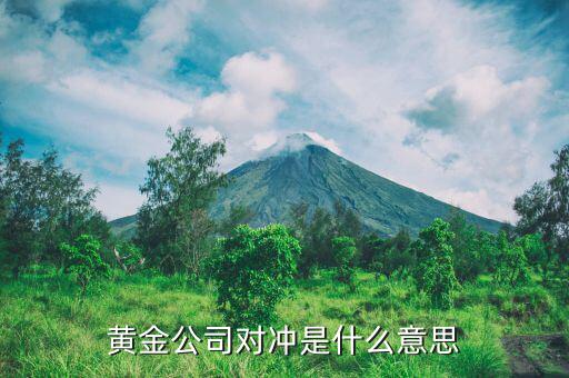 什么是對沖，黃金公司對沖是什么意思