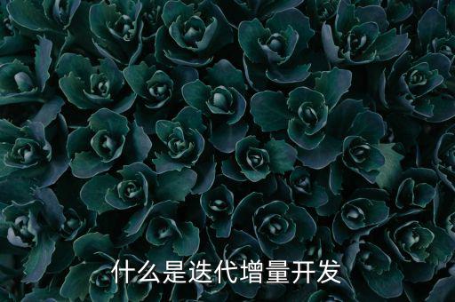 什么是增量發(fā)展，物理意義上的增量是什么意思