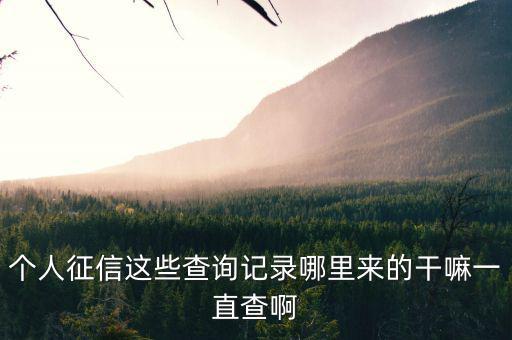 有些人大量查詢征信干什么，查征信有啥用