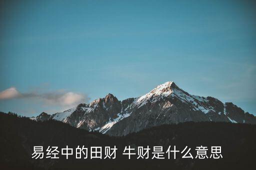 牛牛理財是什么意思，易經(jīng)中的田財 牛財是什么意思