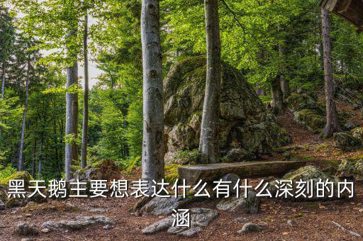 黑天鵝書說的是什么，黑天鵝主要想表達(dá)什么有什么深刻的內(nèi)涵