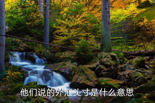 外匯交易中頭寸是什么意思，外匯頭寸是什么