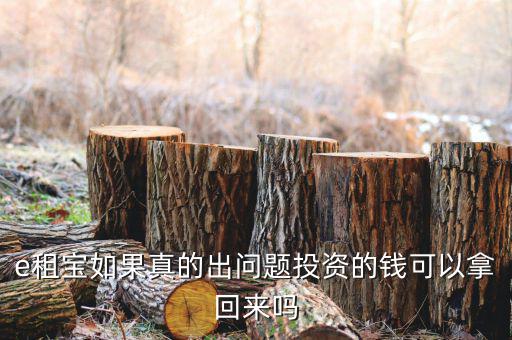 e租寶注冊(cè)有什么風(fēng)險(xiǎn)，朋友讓我給他注冊(cè)個(gè)e租包賬號(hào)安全嗎