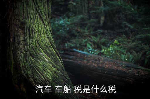 汽車車船稅是怎么樣,車船稅是對車輛、船舶征收的稅
