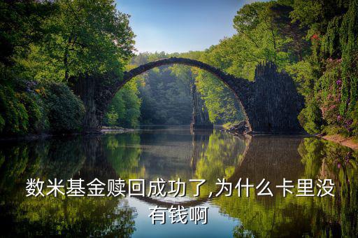 數米現(xiàn)金寶怎么操作,手機現(xiàn)金寶可查詢基金盈虧設置基金定投