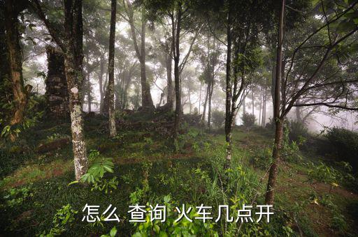 怎么 查詢(xún) 火車(chē)幾點(diǎn)開(kāi)