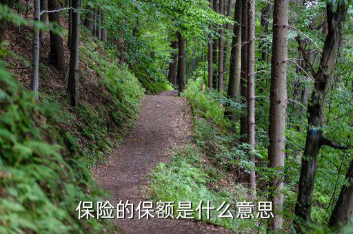 保險保額是什么意思，保險里的保額是啥意思