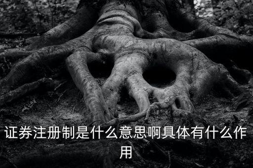 證券注冊(cè)制什么意思，證券注冊(cè)制是什么意思啊具體有什么作用