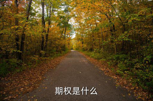 股票期權(quán)是什么，期權(quán)和股權(quán)有什么本質(zhì)區(qū)別嗎