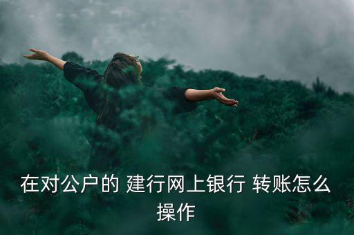 建行給建行怎么轉賬,同行轉賬網(wǎng)銀轉賬須知