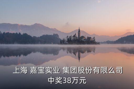  上海 嘉寶實(shí)業(yè) 集團(tuán)股份有限么司中獎(jiǎng)38萬(wàn)元