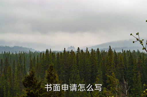 書(shū)面申請(qǐng)?jiān)趺磳?xiě)