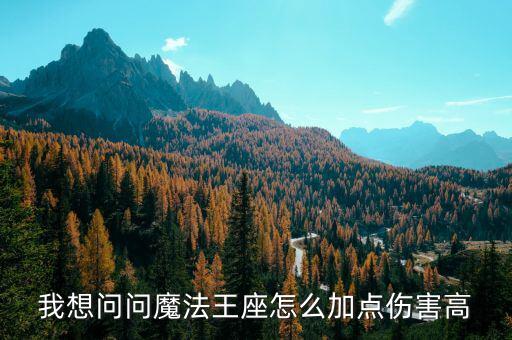 我想問(wèn)問(wèn)魔法王座怎么加點(diǎn)傷害高