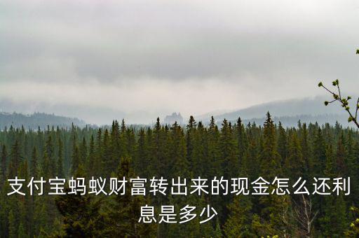 支付寶螞蟻財富轉出來的現(xiàn)金怎么還利息是多少