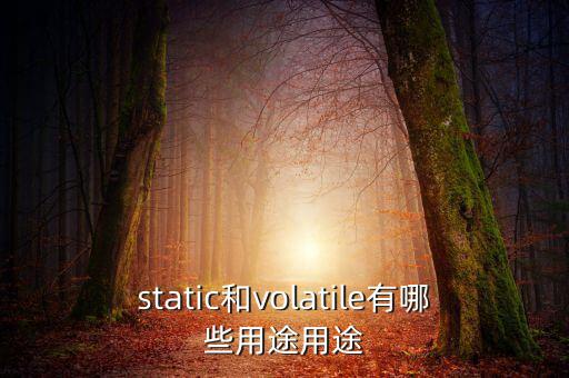 vtm有什么用，static和volatile有哪些用途用途