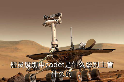 中船總經(jīng)理什么級別，中國船舶總公司總經(jīng)理啥級別