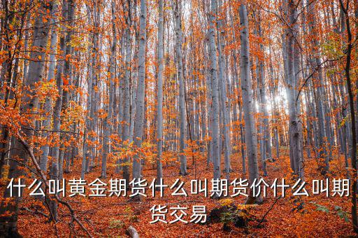 什么是期貨價(jià)，什么叫黃金期貨什么叫期貨價(jià)什么叫期貨交易