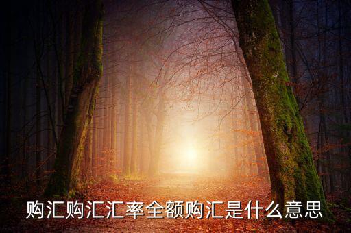 全額匯購是什么意思，什么叫全額結匯