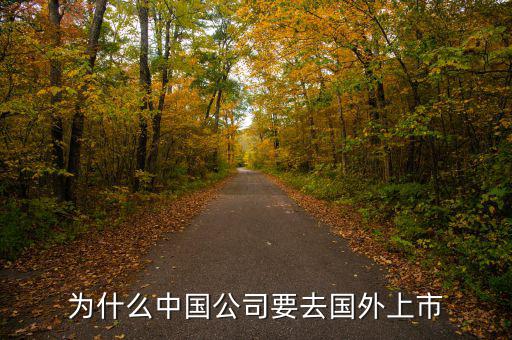 中國企業(yè)為什么要在境外上市，為什么有公司要到境外上市