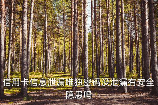 信用卡信息泄露有什么風(fēng)險(xiǎn)，信用卡信息泄漏唯獨(dú)密碼沒(méi)泄漏有安全隱患嗎