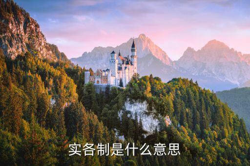 什么是實(shí)貨制，實(shí)體制是什么意思