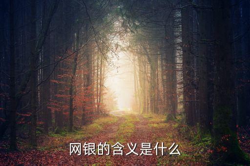 網(wǎng)銀存入代表什么意思，網(wǎng)銀的含義是什么