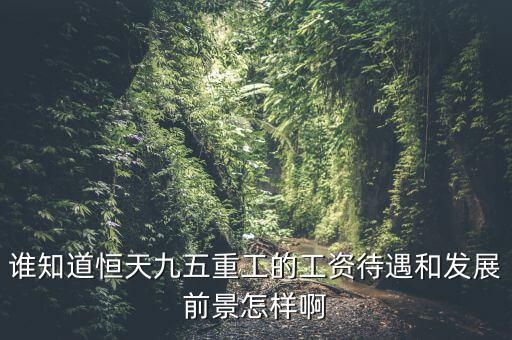 恒天九五什么時候上市，誰知道恒天九五重工的工資待遇和發(fā)展前景怎樣啊