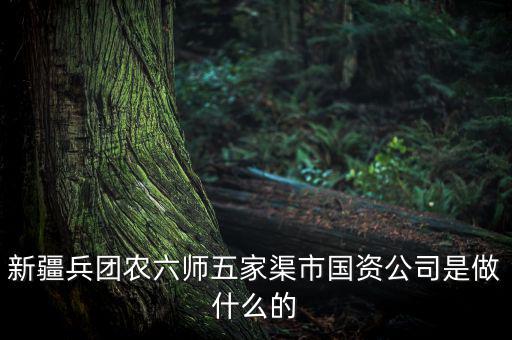 新疆兵團(tuán)農(nóng)六師五家渠市國資公司是做什么的