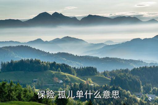 保險(xiǎn) 孤兒單什么意思