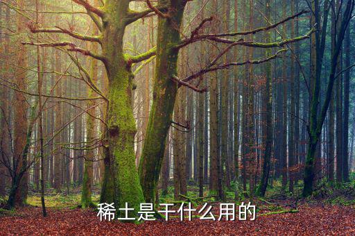 為什么稀土，日本為什么要進(jìn)口稀土 稀土是什么
