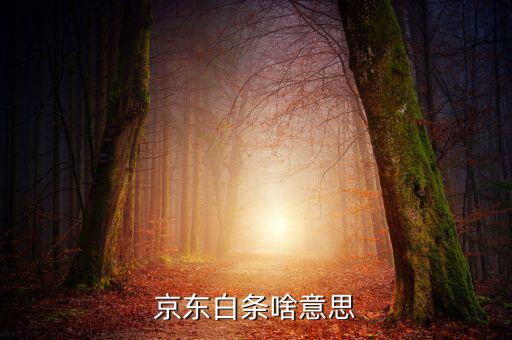 京東白條是什么，京東白條啥意思