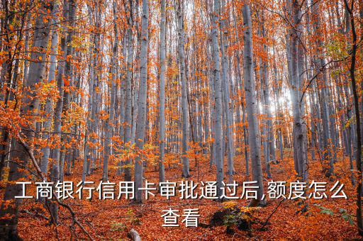 工行授信怎么查,您簽訂易貸協(xié)議后可通過(guò)各渠道查詢貸款額度