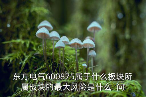 東方電氣600875屬于什么板塊所屬板塊的最大風(fēng)險(xiǎn)是什么  問