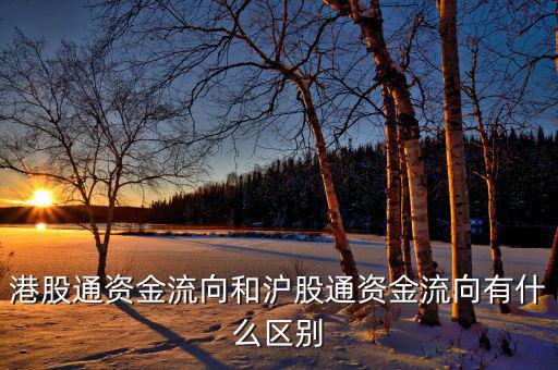 港股通風(fēng)控資金是什么，港股通資金流向和滬股通資金流向有什么區(qū)別