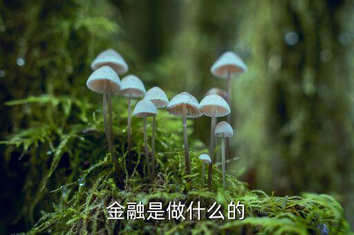 中國(guó)29金融是干什么的，金融是干什么的