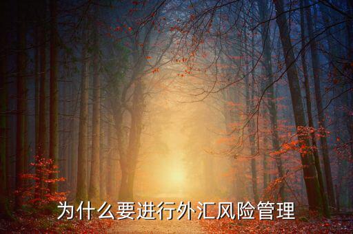 中國(guó)為什么實(shí)行外匯管制，為什么要加入國(guó)家外匯管理局工作
