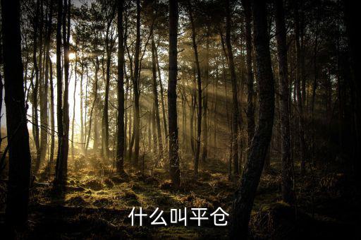 斬倉(cāng)是什么，什么叫平倉(cāng)